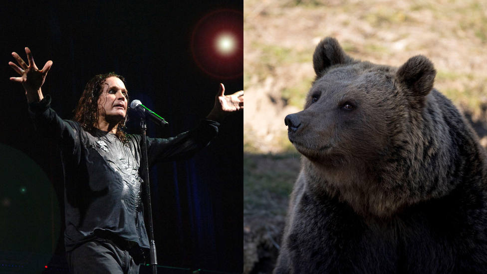 The surreal way to get the bear out of the tree with the Black Sabbath classic – Al día